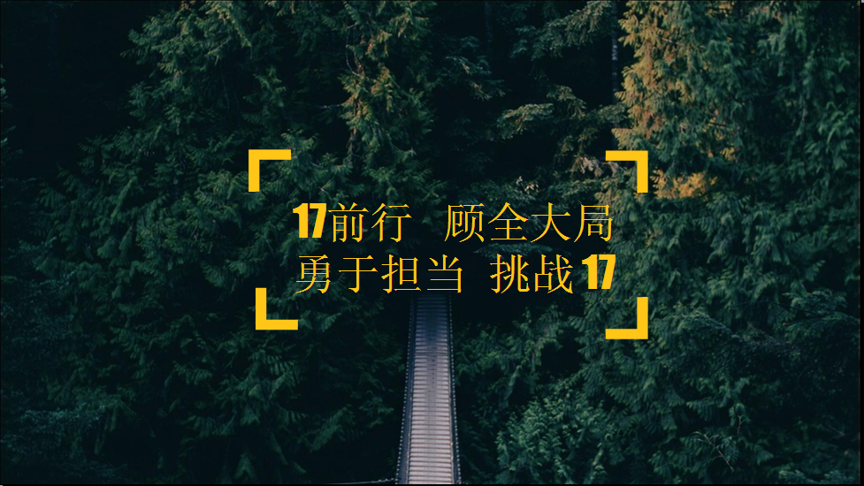 “17前行 顾全大局 勇于担当 挑战17”
